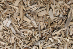 biomass boilers Under The Wood